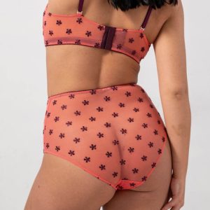 Mesh Highwaist Briefs Coral/Cherry