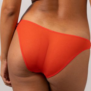 Mesh Bikini Briefs Fiery Red
