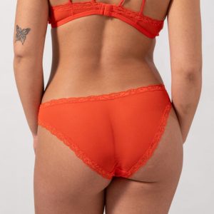 Mesh Lace Trim Bikini Briefs Fiery Red